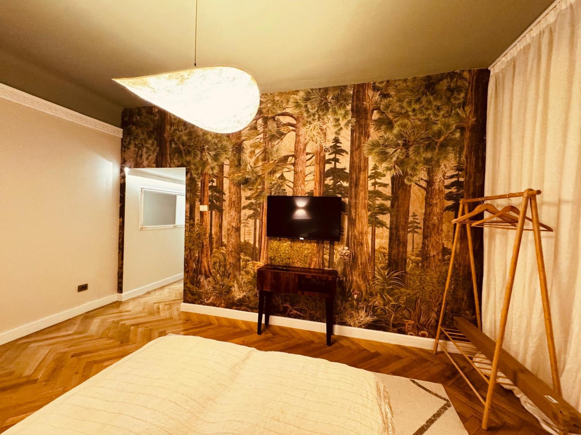 Belle Vista Guesthouse 브라쇼브 외부 사진